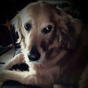 Meet your Posher, Shari